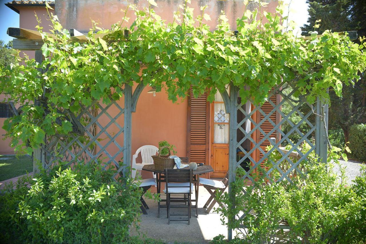 Agriturismo Le Cerbonche Rosignano Marittimo Eksteriør billede