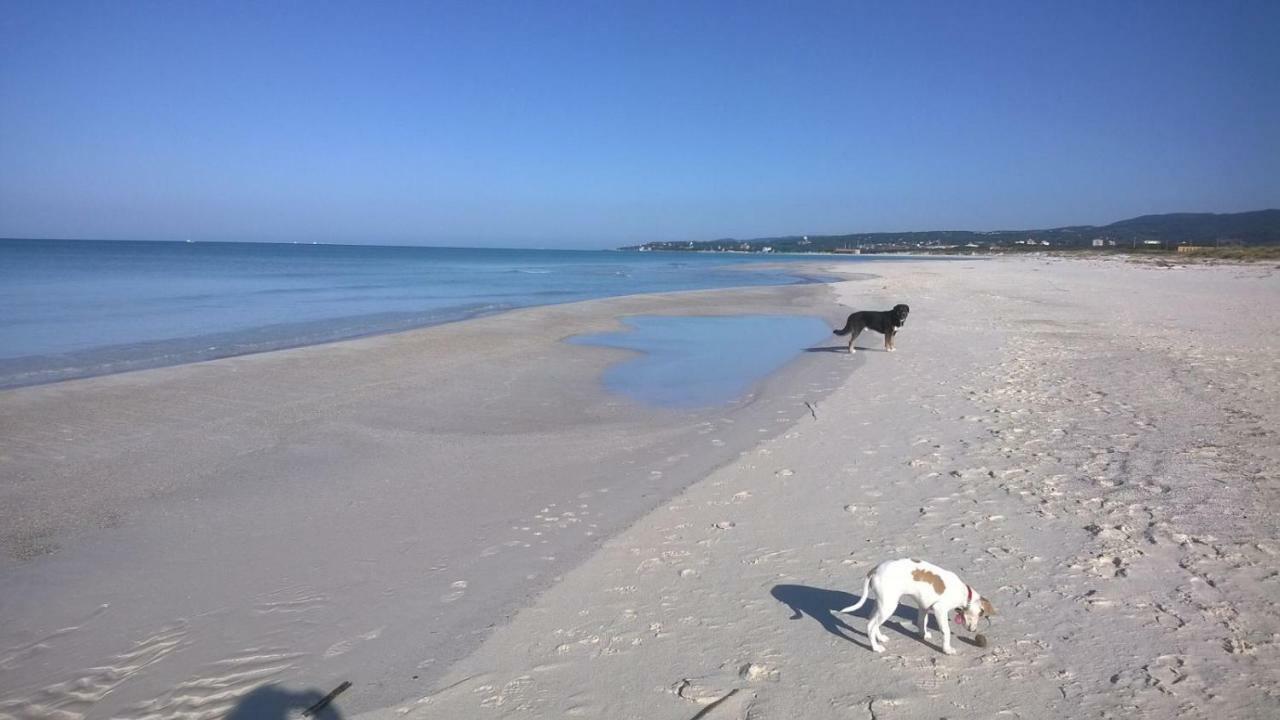 Agriturismo Le Cerbonche Rosignano Marittimo Eksteriør billede